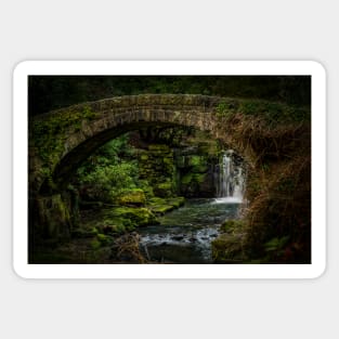 Jesmond Dene Foot Bridge and Waterfall Sticker
